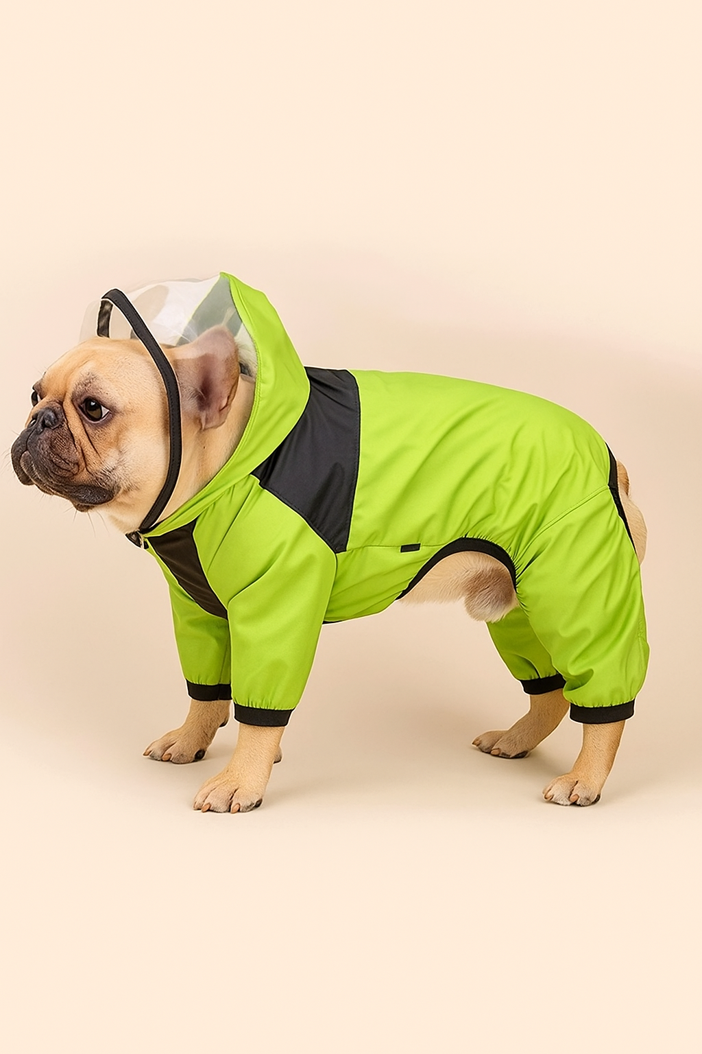The Dog Face  Raincoat Jumpsuit