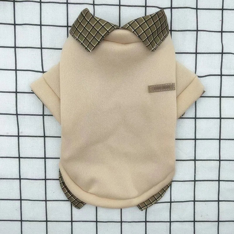 Beige dog shirt with plaid collar on a grid background