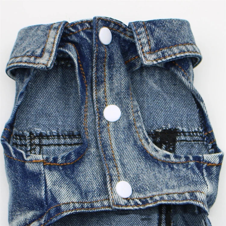 Close-up of a denim dog coat with white buttons on a white background