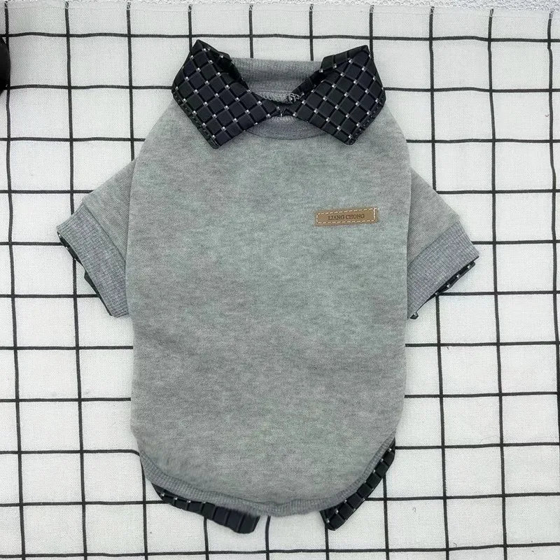 Gray dog shirt with black collar on a checkered background