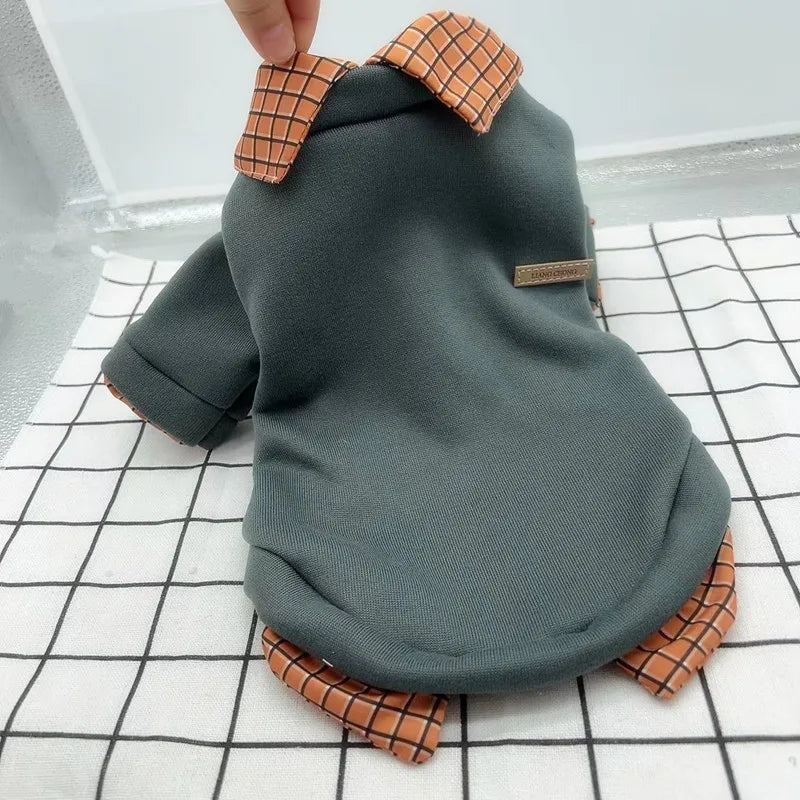 Green pet sweater with brown plaid accents on a checkered surface