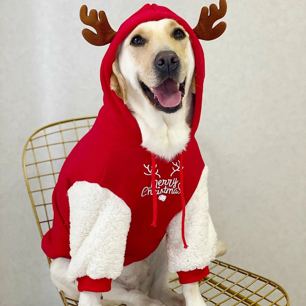 Christmas Hoodie