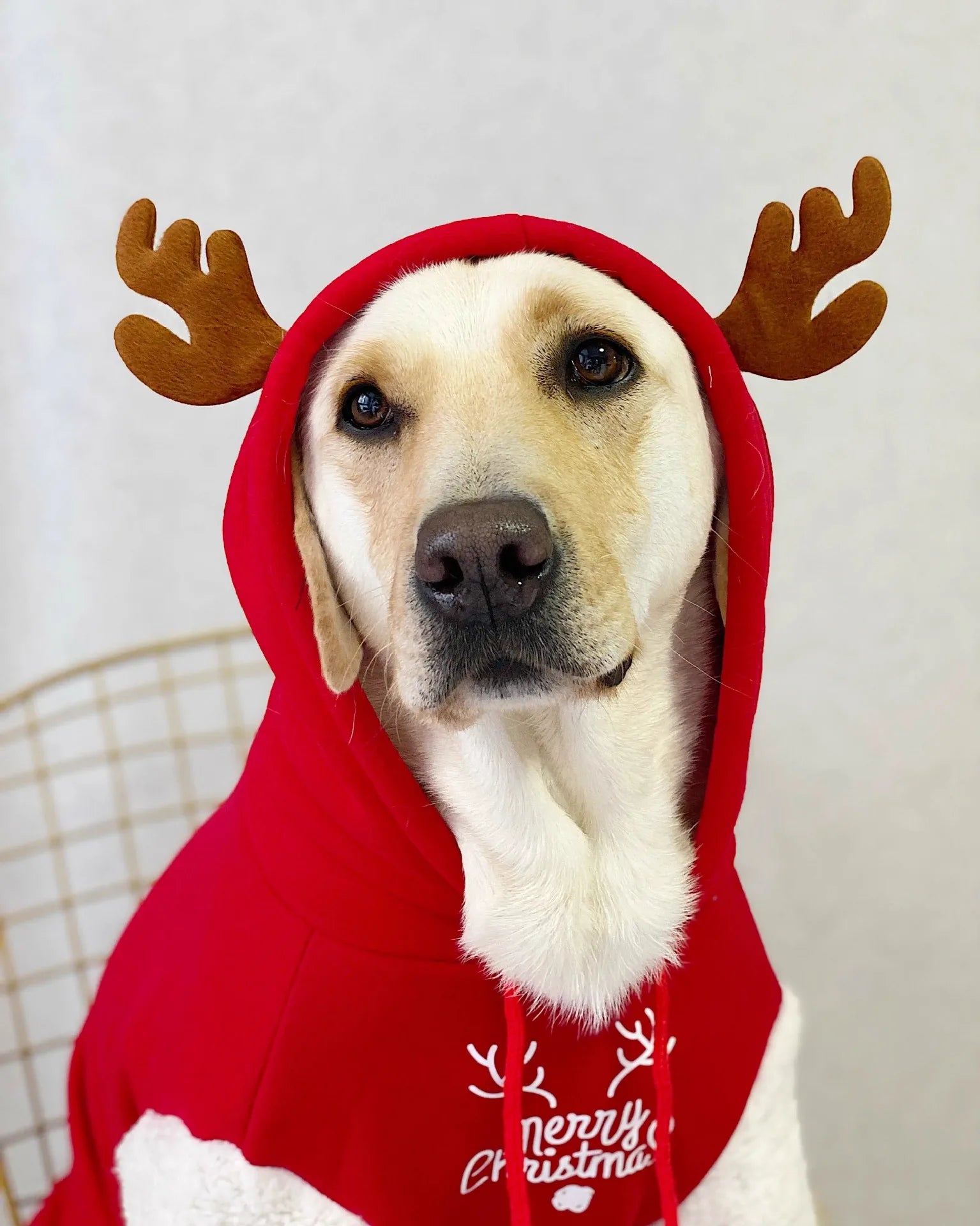 Christmas Hoodie
