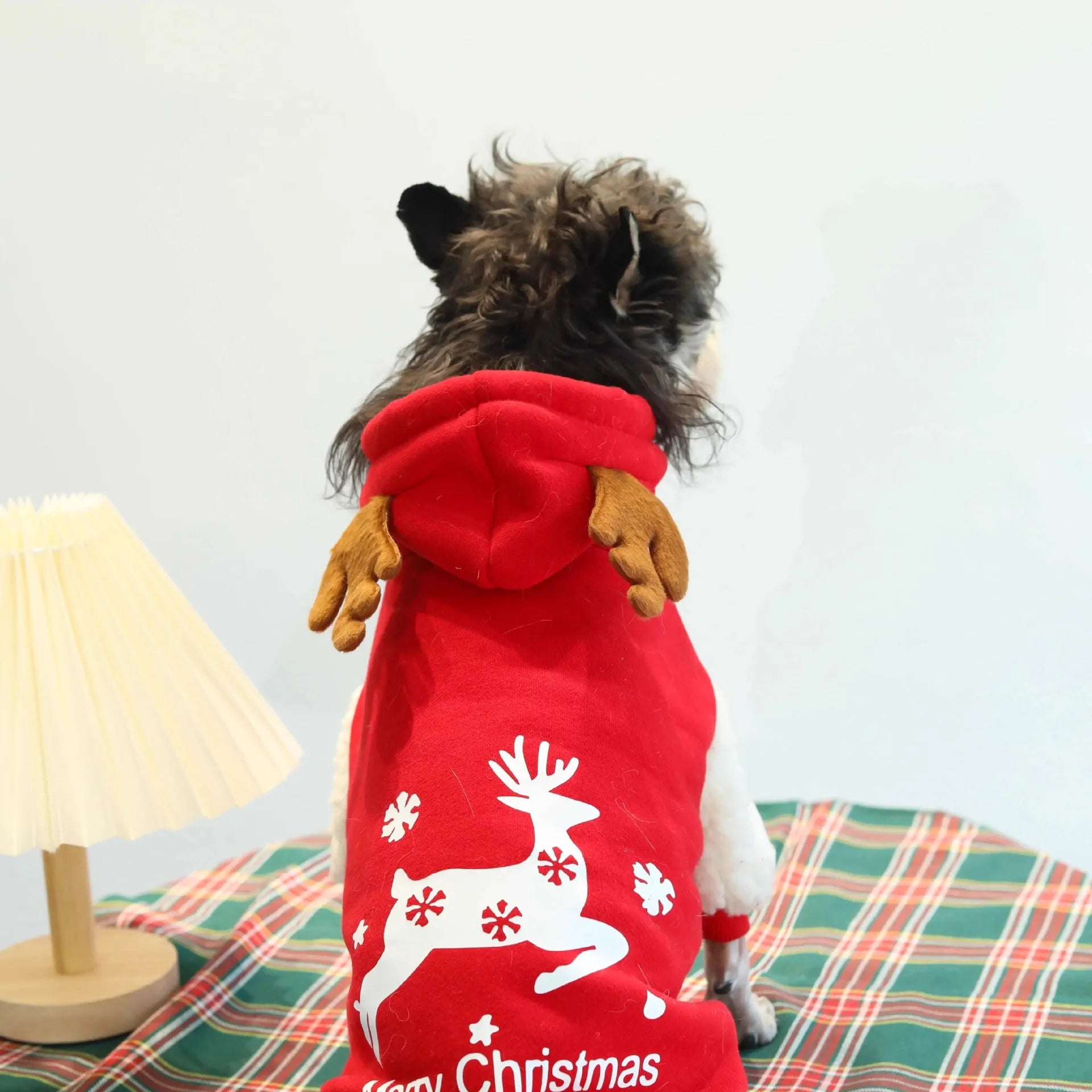 Christmas Hoodie