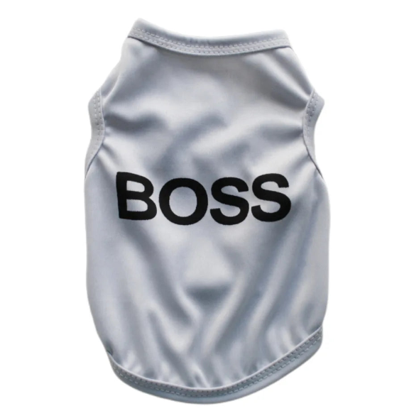 BOSS Shirt