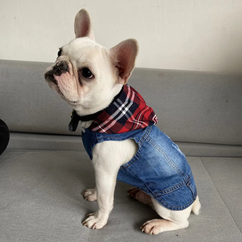 The Pawlitician® Vintage Hooded Denim Jacket – Classic Streetwear for Pets