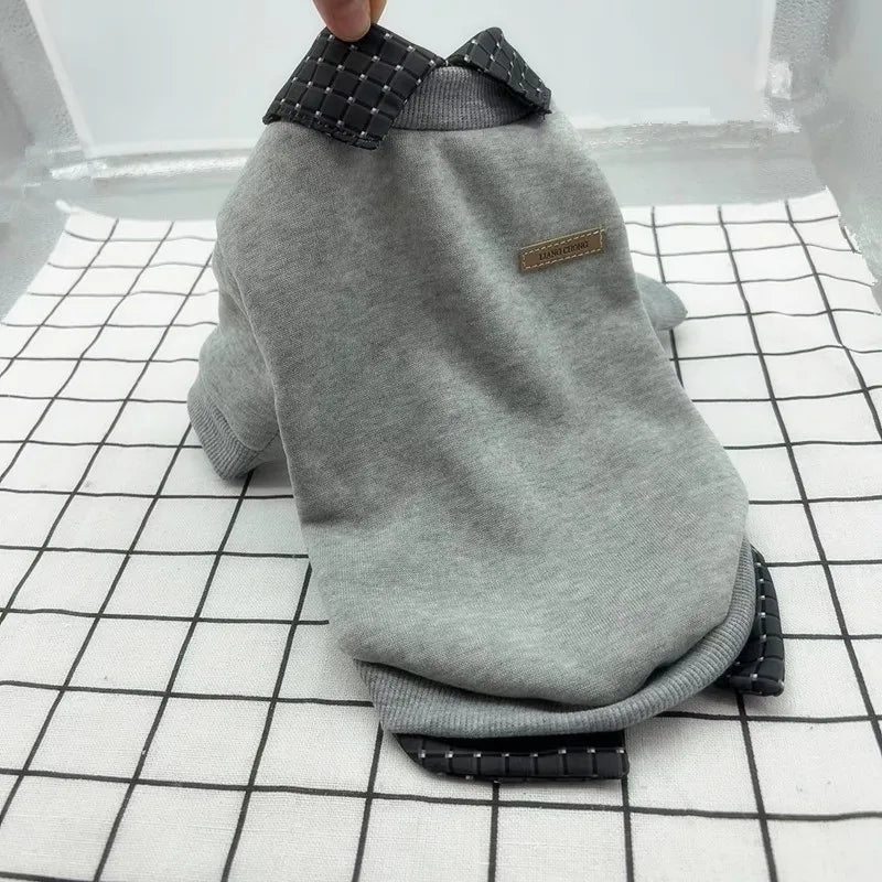 Gray dog sweater with black collar on a grid background