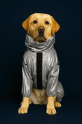 Reflective Waterproof Jumpsuit