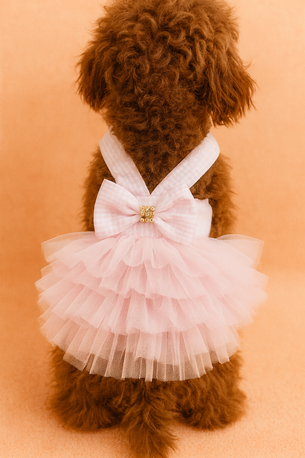 Dog wearing a pink tutu dress with a bow on an orange background