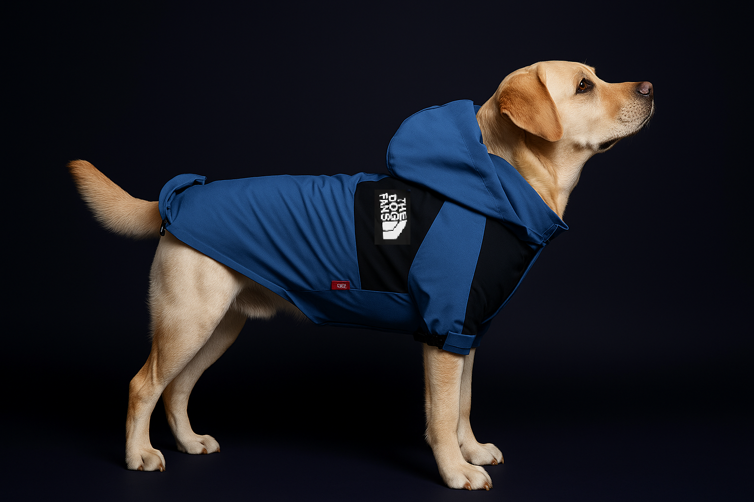 Dog wearing a blue coat with a brand logo on a black background
